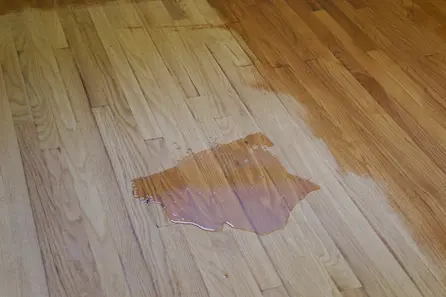 maintaining hardwood floors
